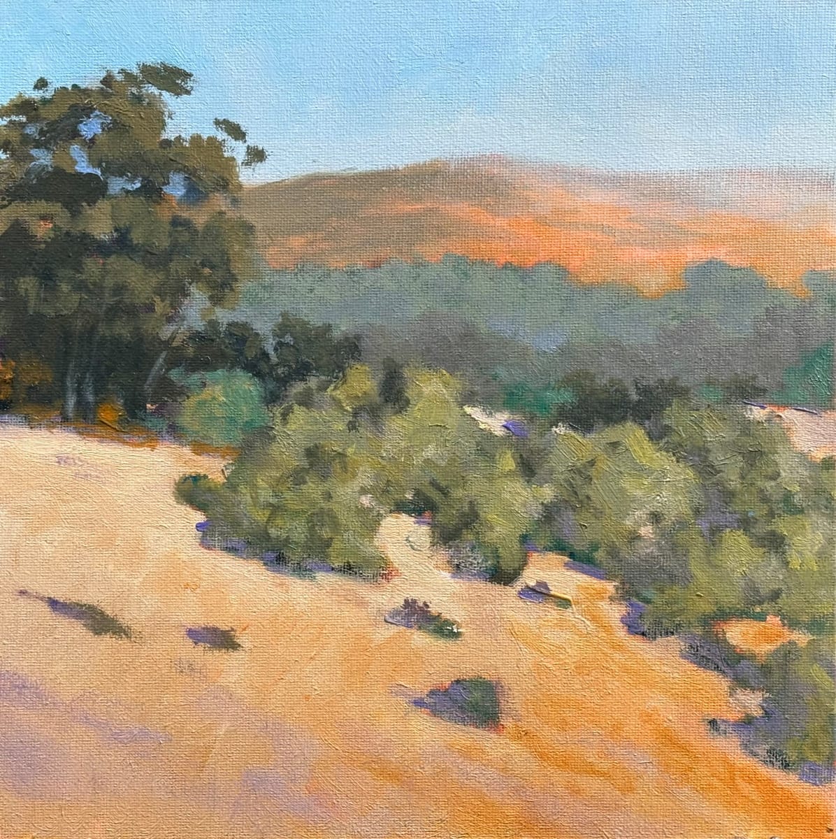 Corralitos View by Ed Penniman 