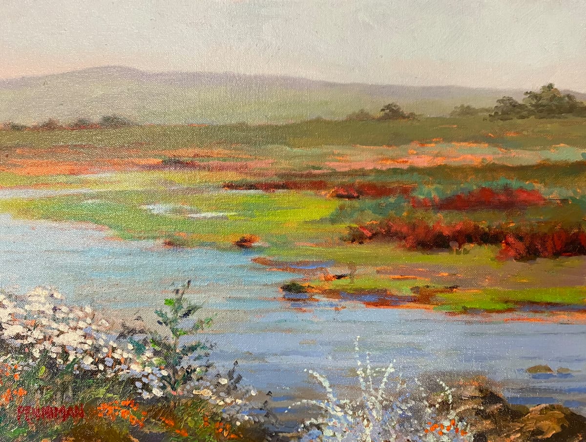 Pajaro Wetlands I 