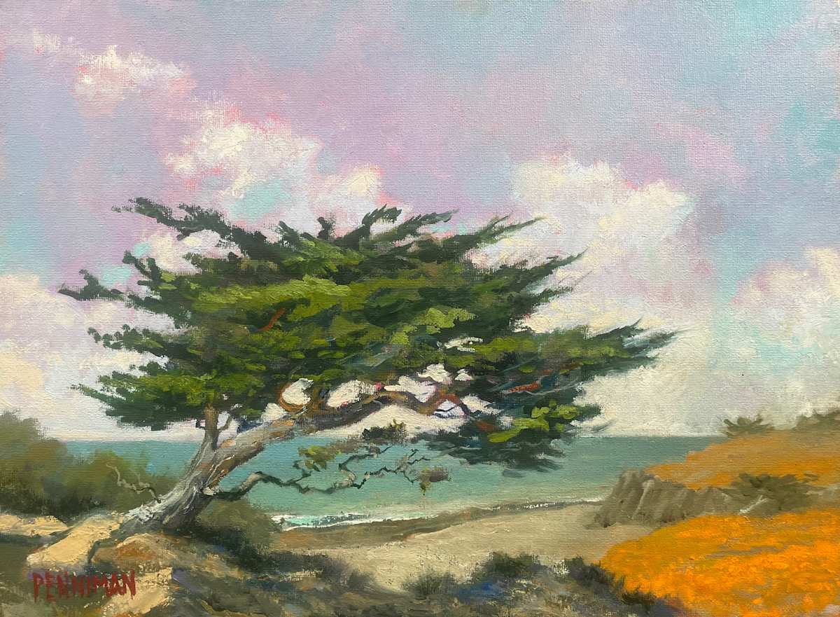 Cypress Wind by Ed Penniman, Image 1.