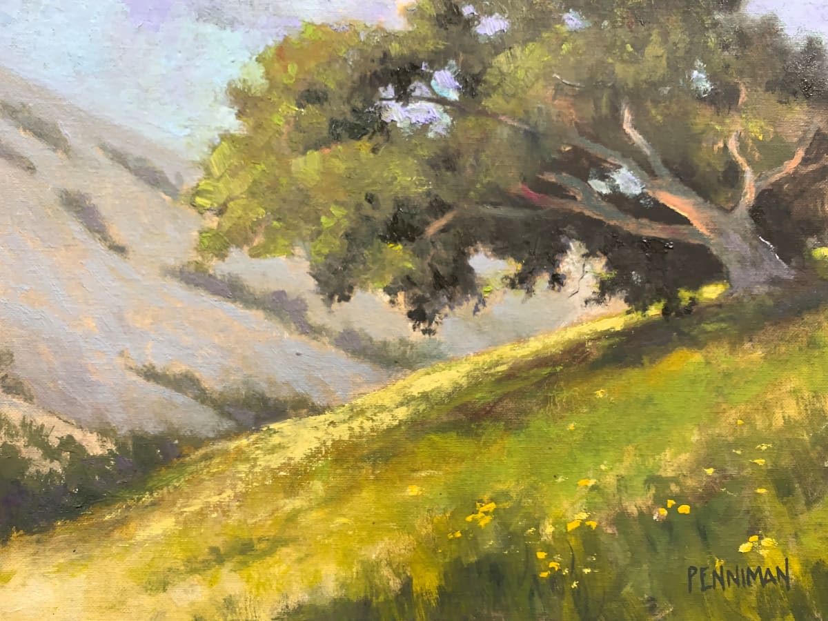 Sour grass hill-Oxalis 