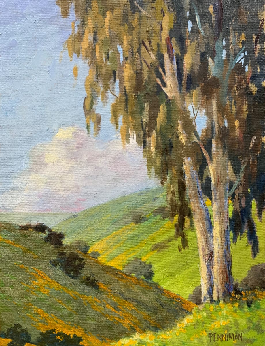 Eucalyptus View III by Ed Penniman, Image 1.
