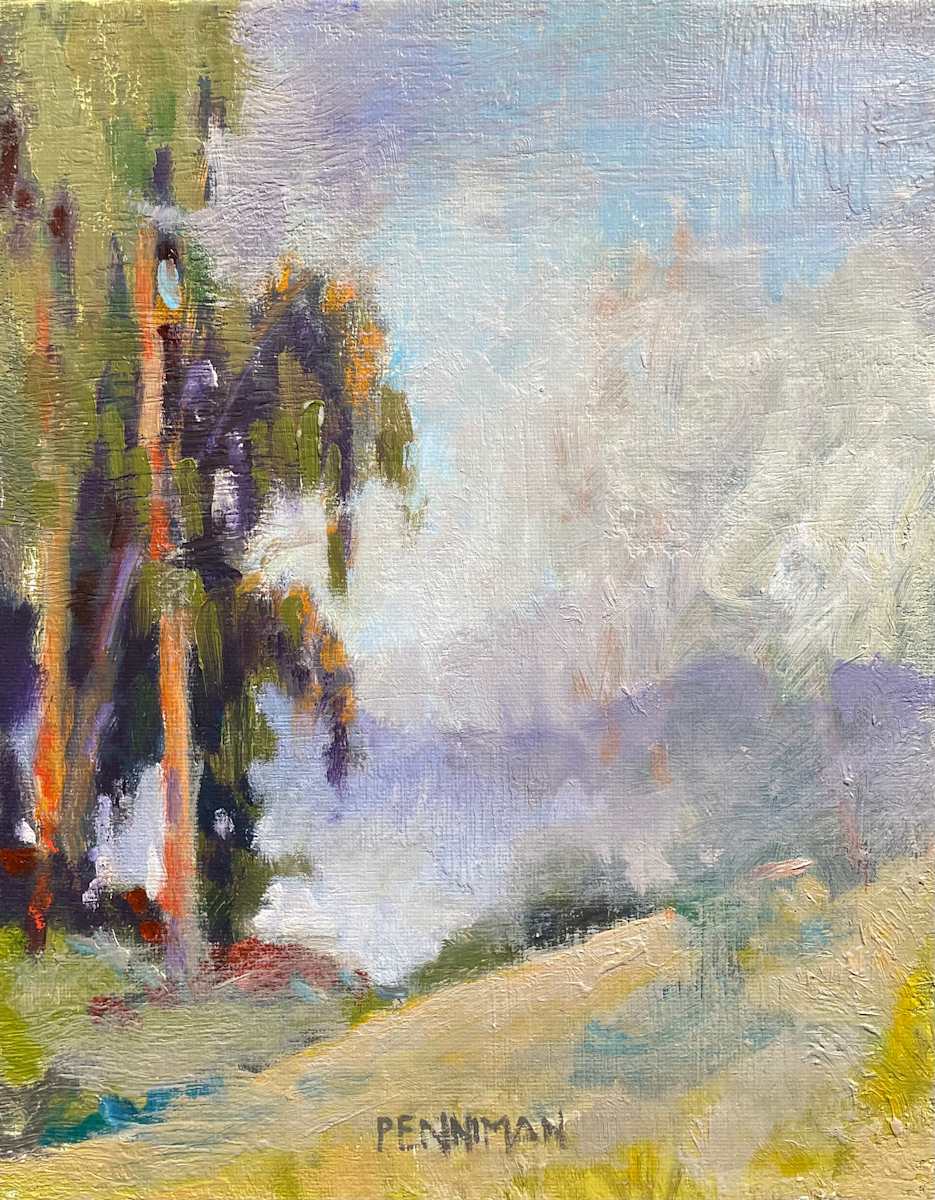 Foggy Valley by Ed Penniman 