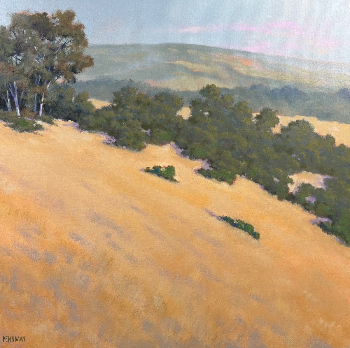Corralitos View III by Ed Penniman, Image 1.