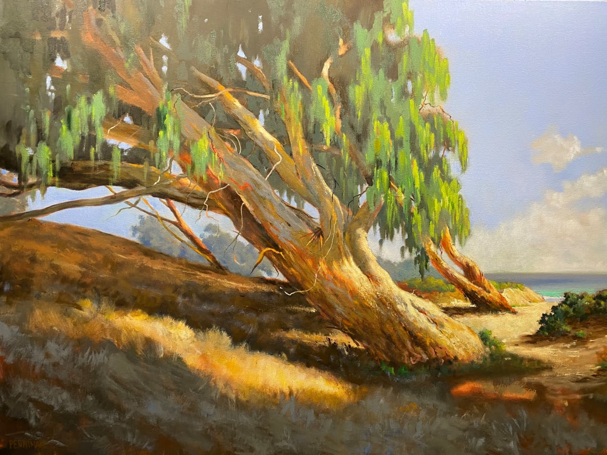 Natural Bridges State Park, Image 1.