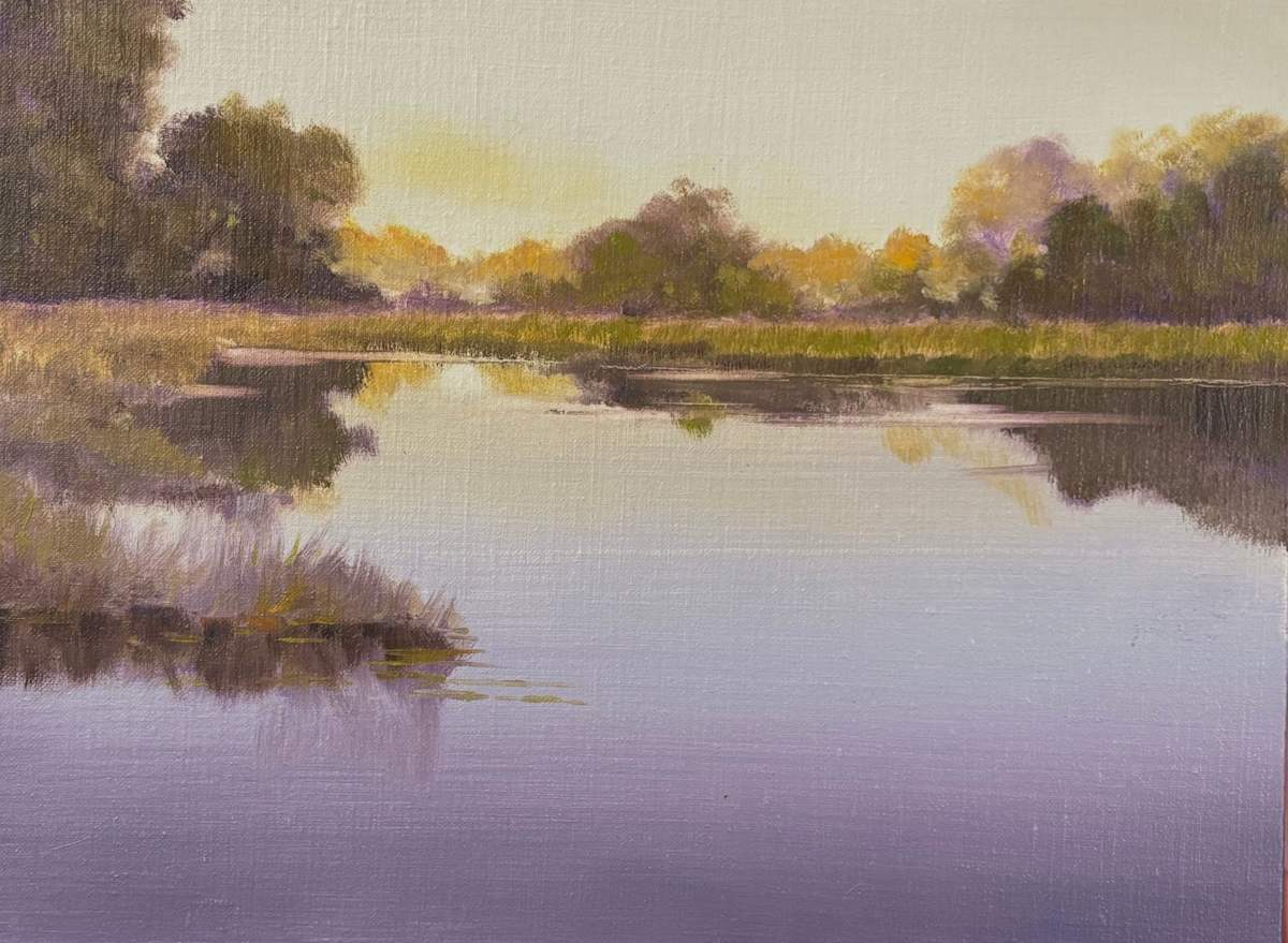 Schwan Lavender Violet by Ed Penniman 
