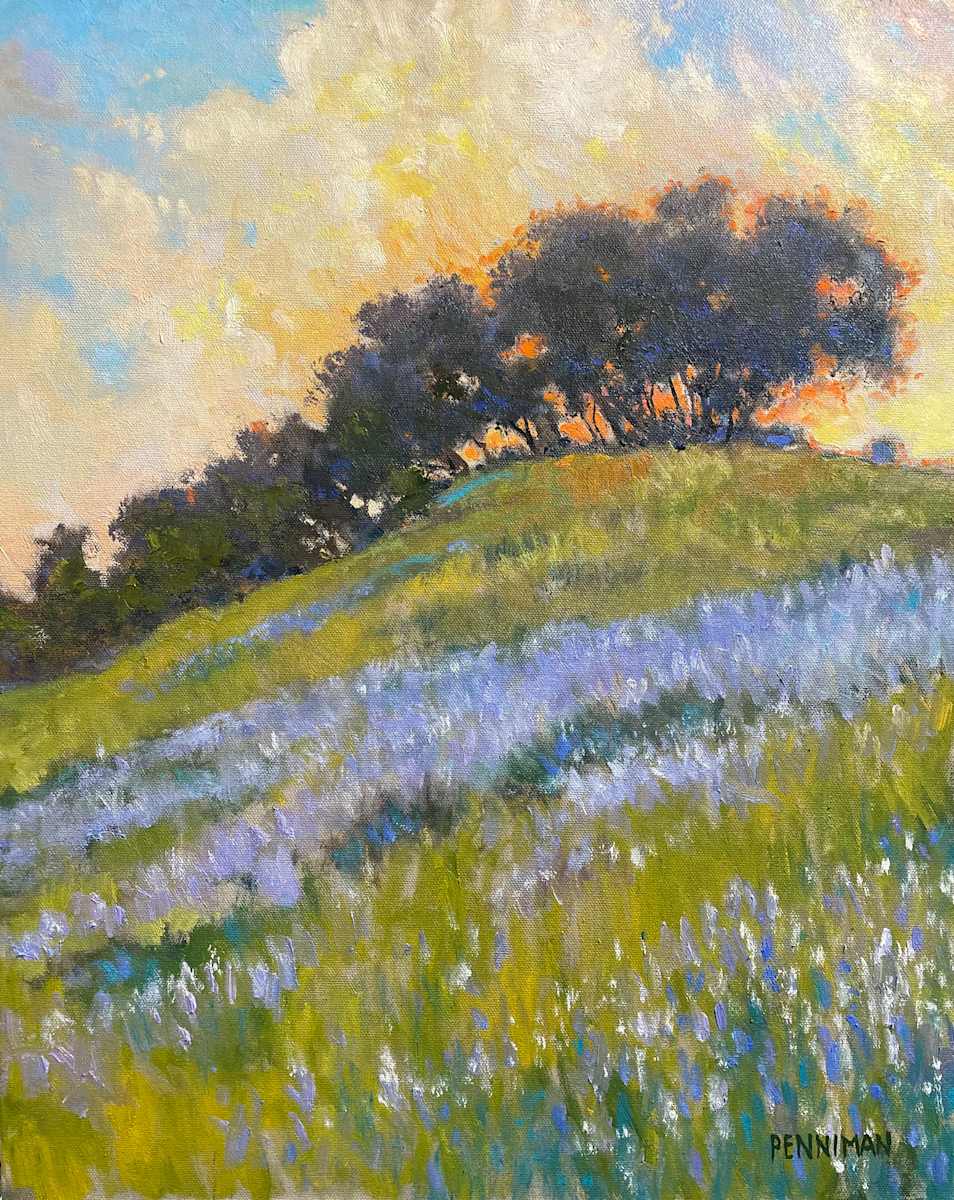 Hilltop Lupin by Ed Penniman, Image 1.
