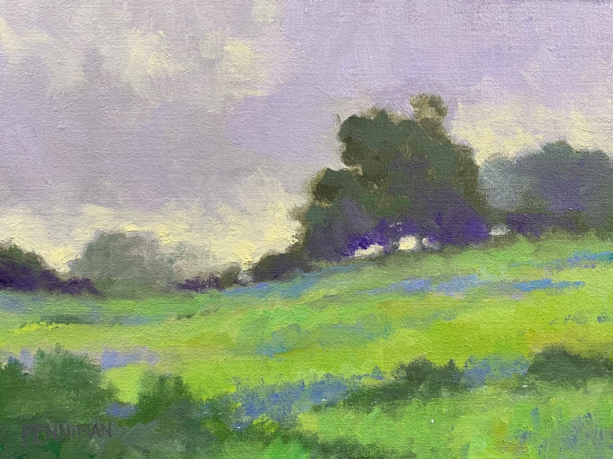 Lavender Fields by Ed Penniman 