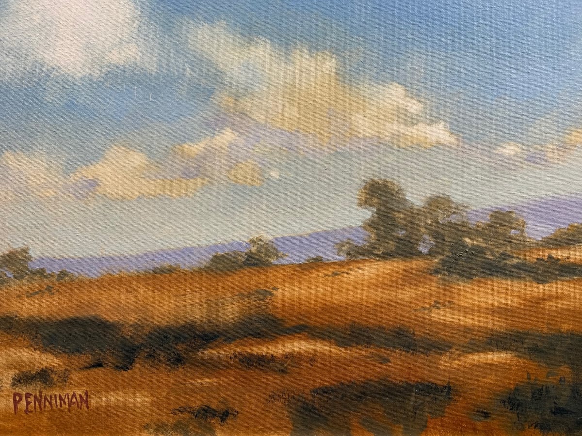 Chocolate Hillside 