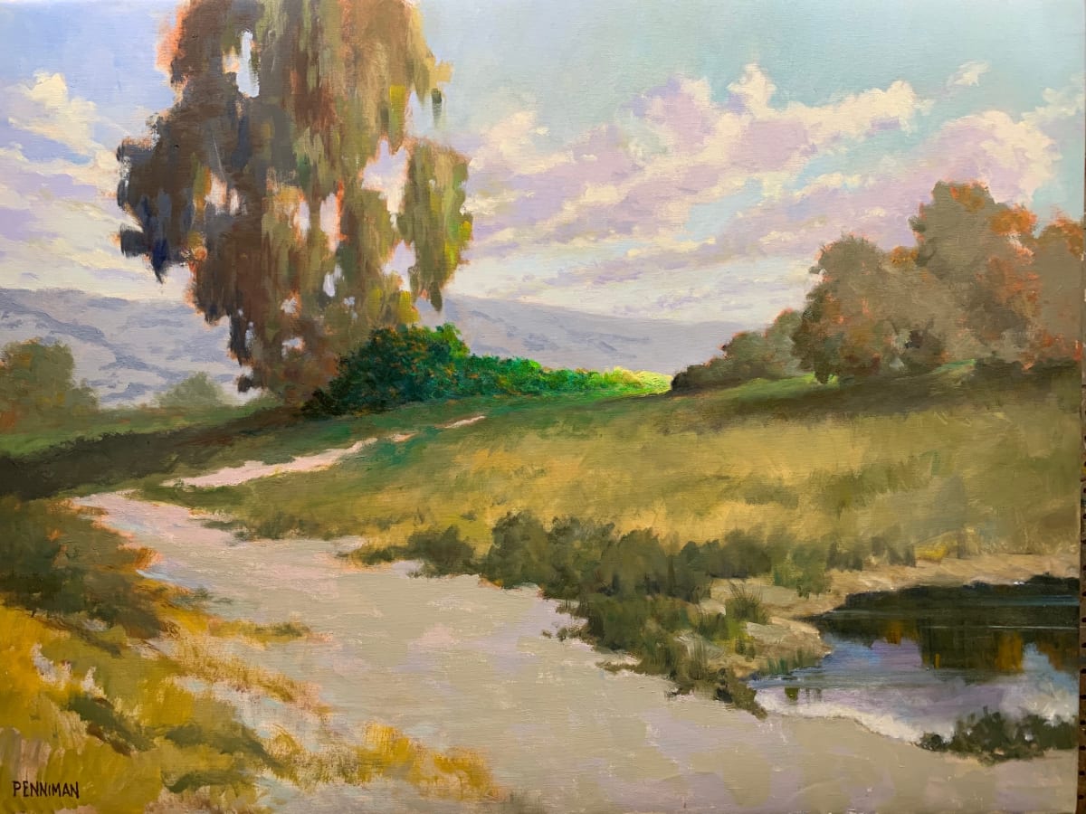 Lake Shore Path 
