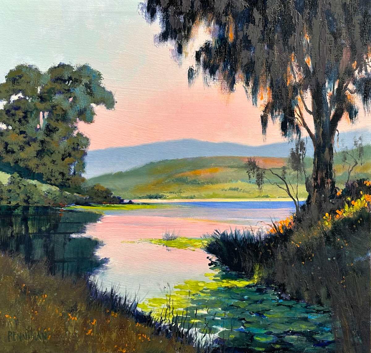 Schwan Lake by Ed Penniman 