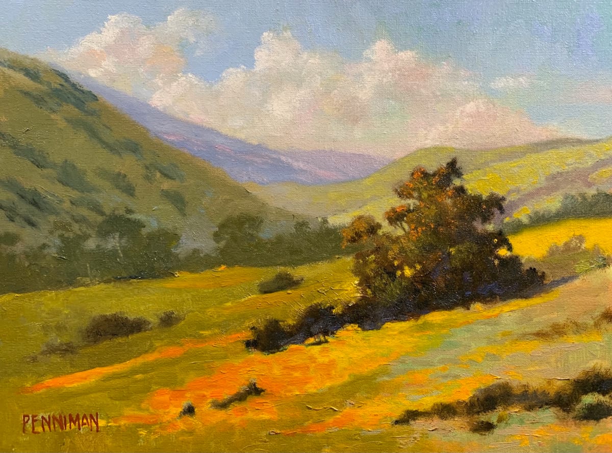 Salinas Hills, Spring by Ed Penniman 