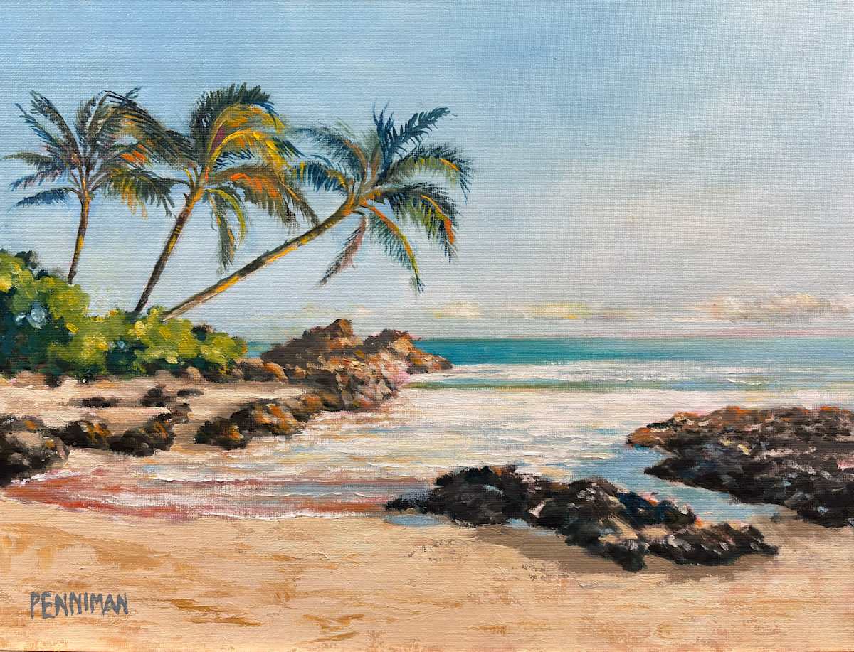 Makena Beach by Ed Penniman, Image 1.