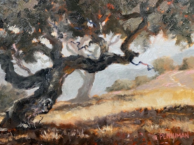 Laguna Seca Oak by Ed Penniman 