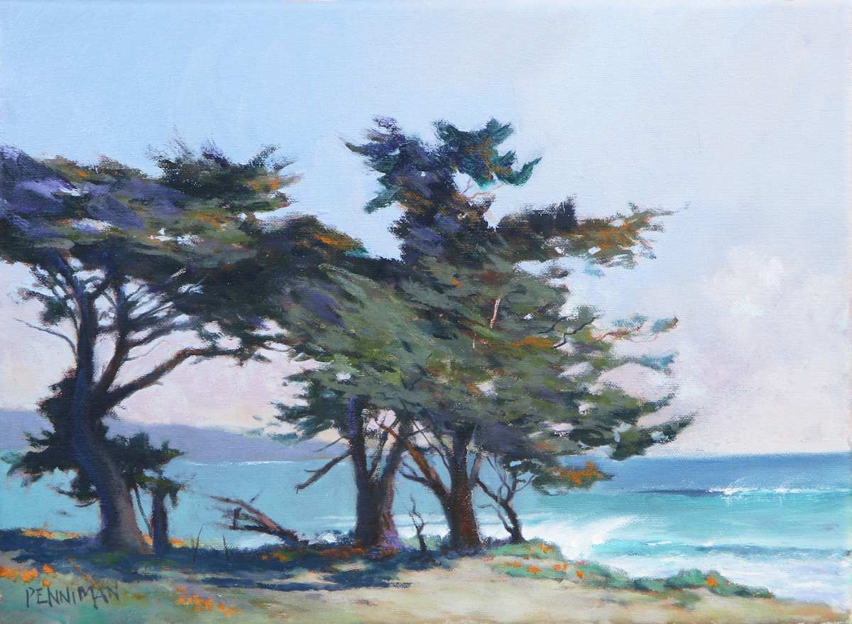 Lighthouse Field II, Steamer Lane by Ed Penniman, Image 1.