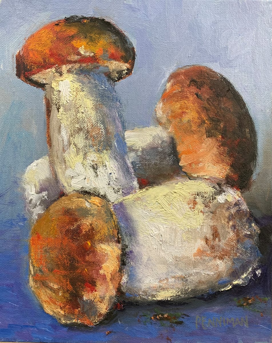 Porcini by Ed Penniman 