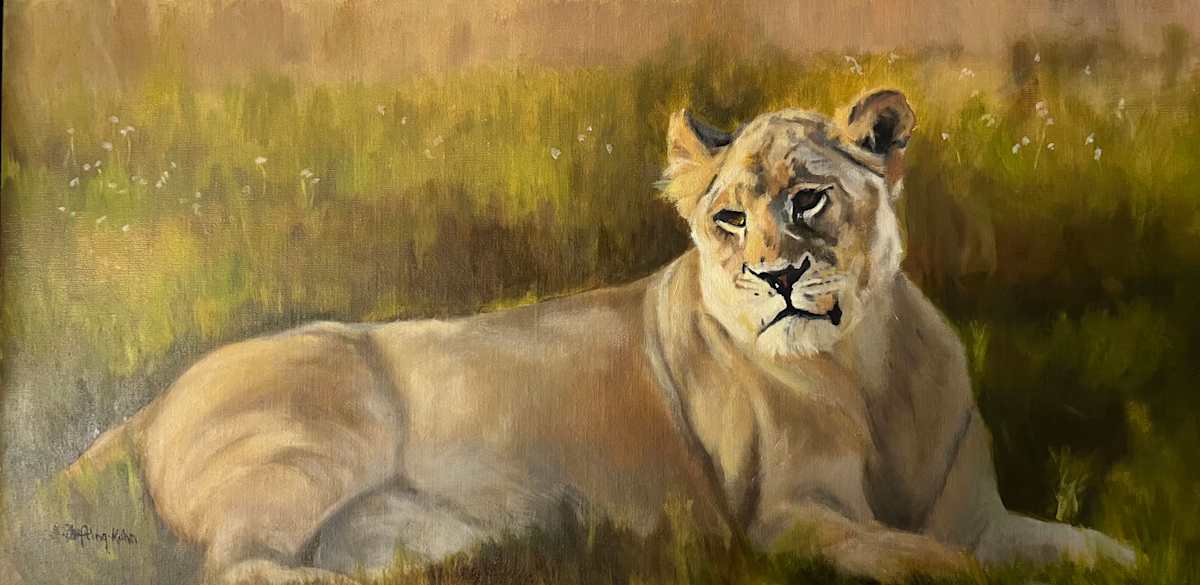 Sunbathing Lioness by Suzi Zefting-Kuhn  Image: Sunbathing Lioness
Oil on linen panel
6" x 8"  