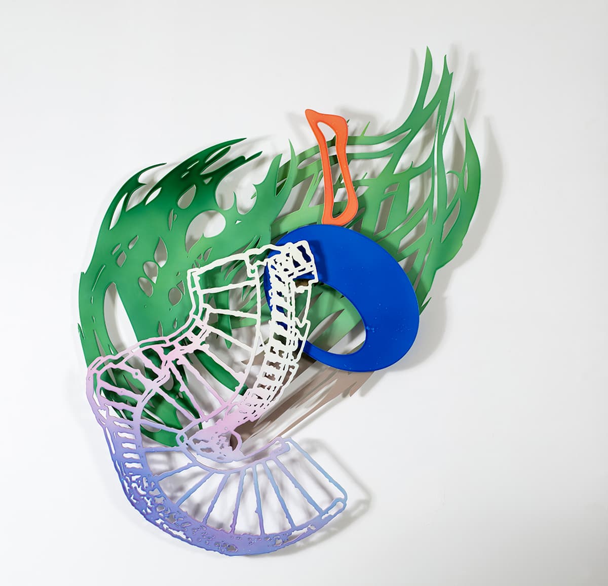 Algae by Cecilia Duhau, Image 1.
