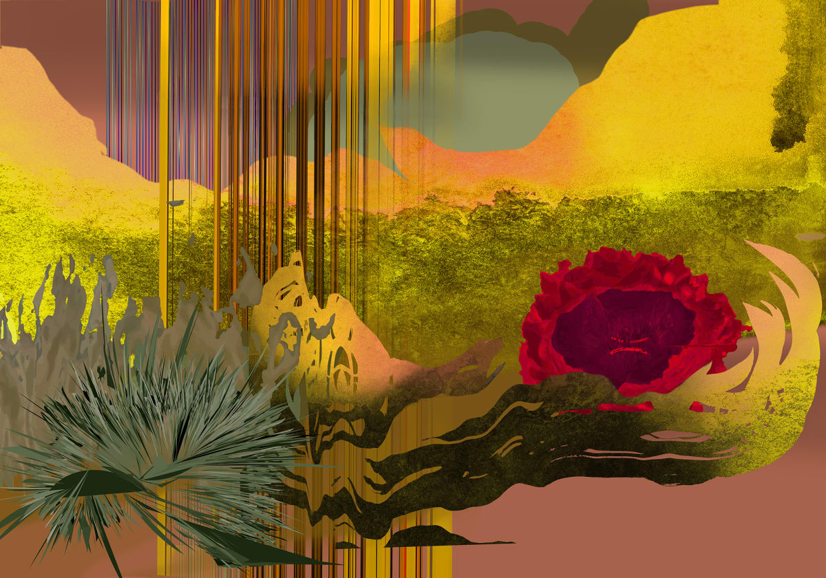La Zona (The Zone) by Cecilia Duhau, Image 1.