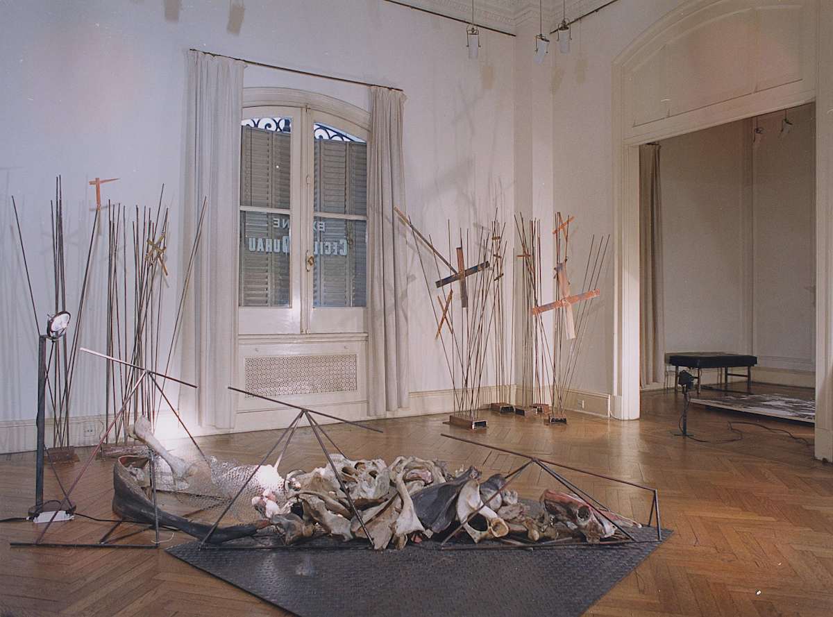 Instalación Van Riel by Cecilia Duhau, Image 1.