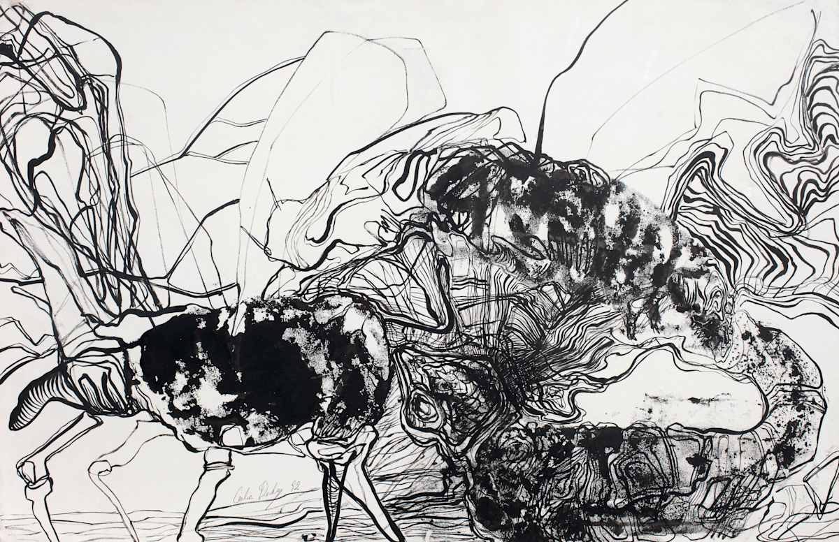 Bichos 3 by Cecilia Duhau, Image 1.