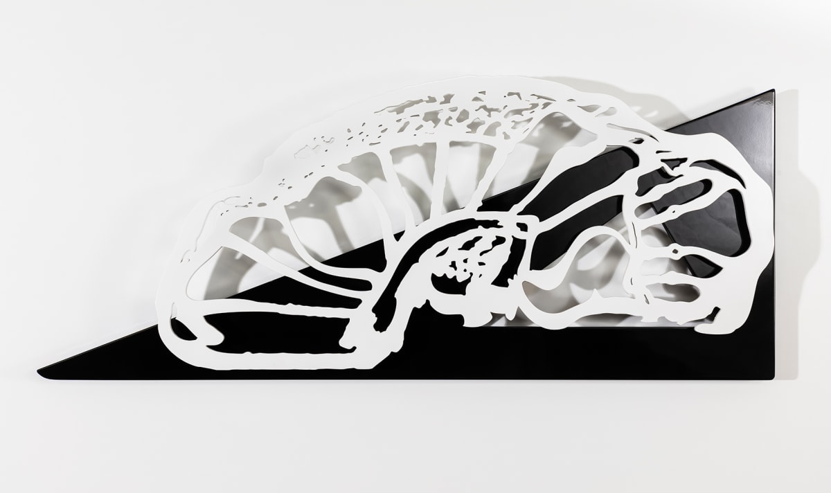 Caracola Flotante by Cecilia Duhau, Image 1.