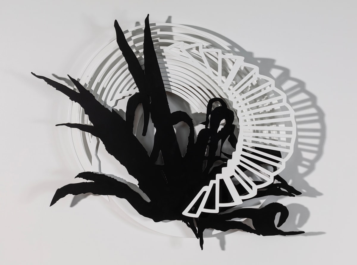 Agave by Cecilia Duhau, Image 1.