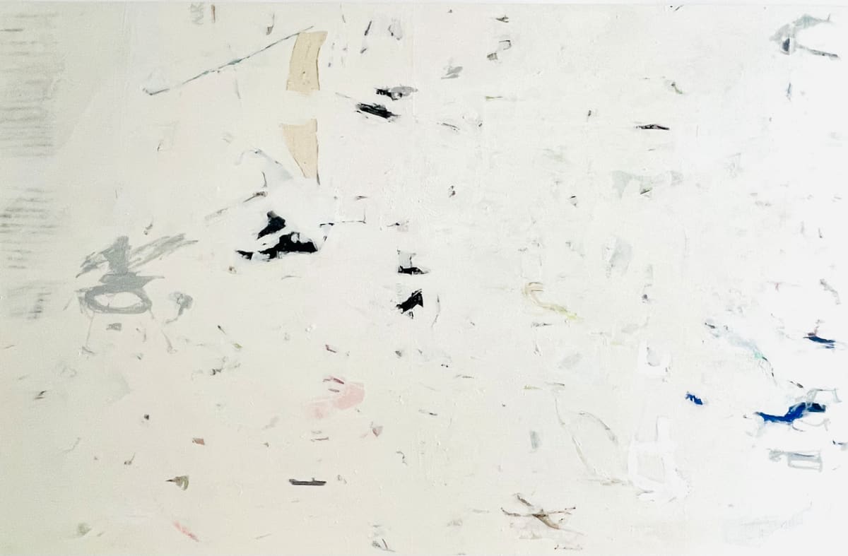 Never landing by Mariana Horgan 