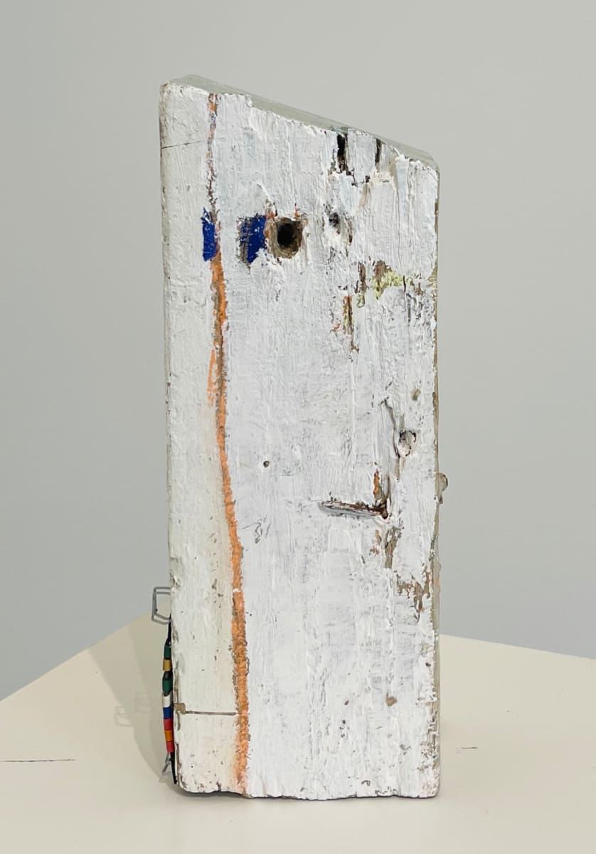 Shelter by Mariana Horgan 