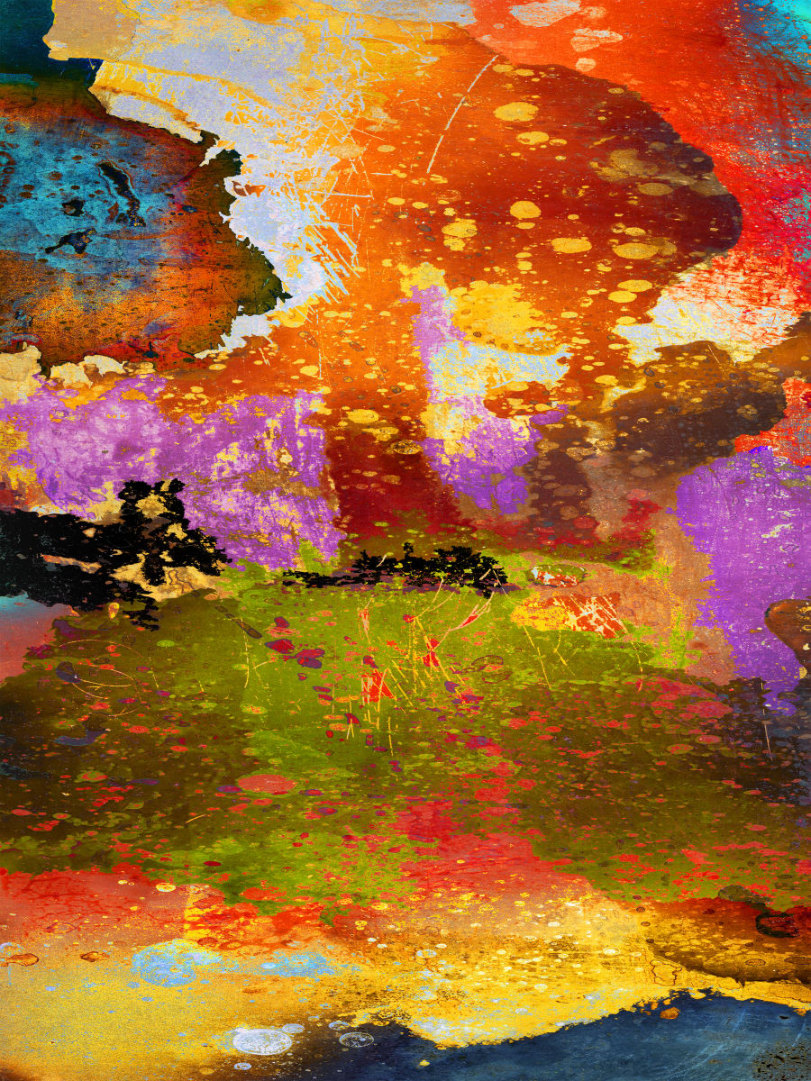 Late Afternoon in the Opal Forest by Eric Oliver 