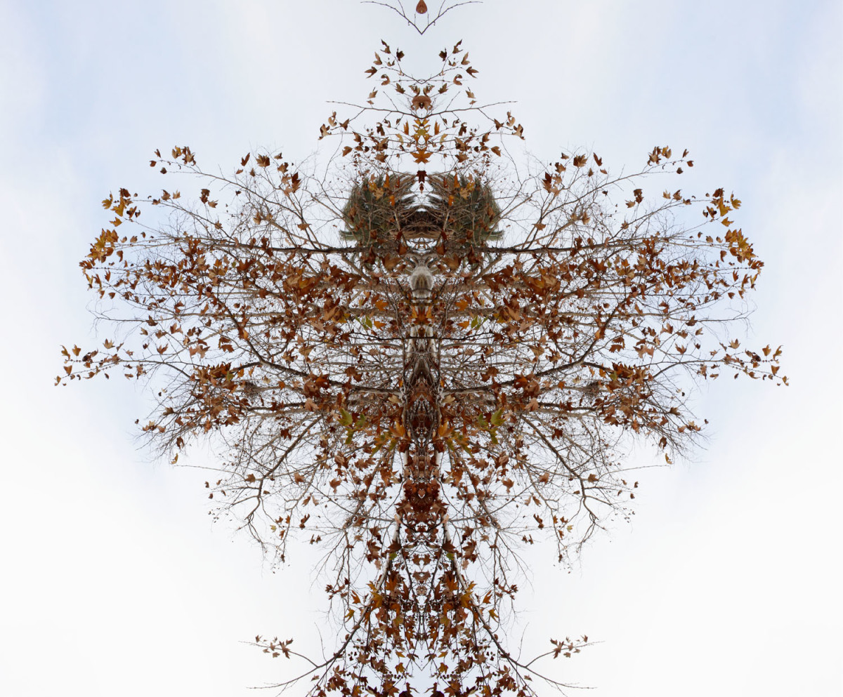 Tree Bird by Eric Oliver 