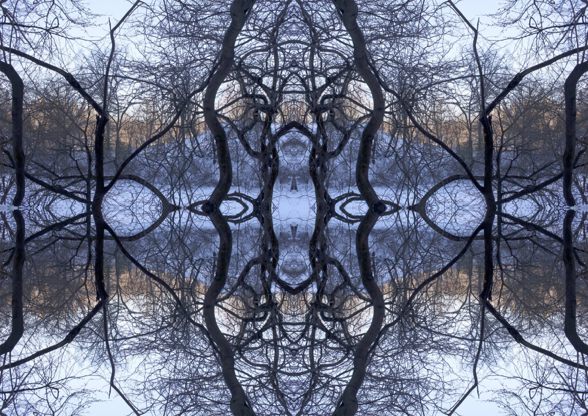 Organic Symmetry by Eric Oliver 