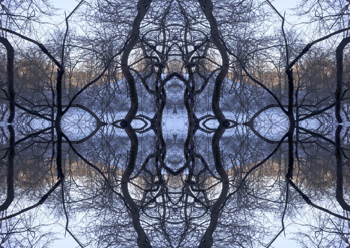 Organic Symmetry by Eric Oliver 