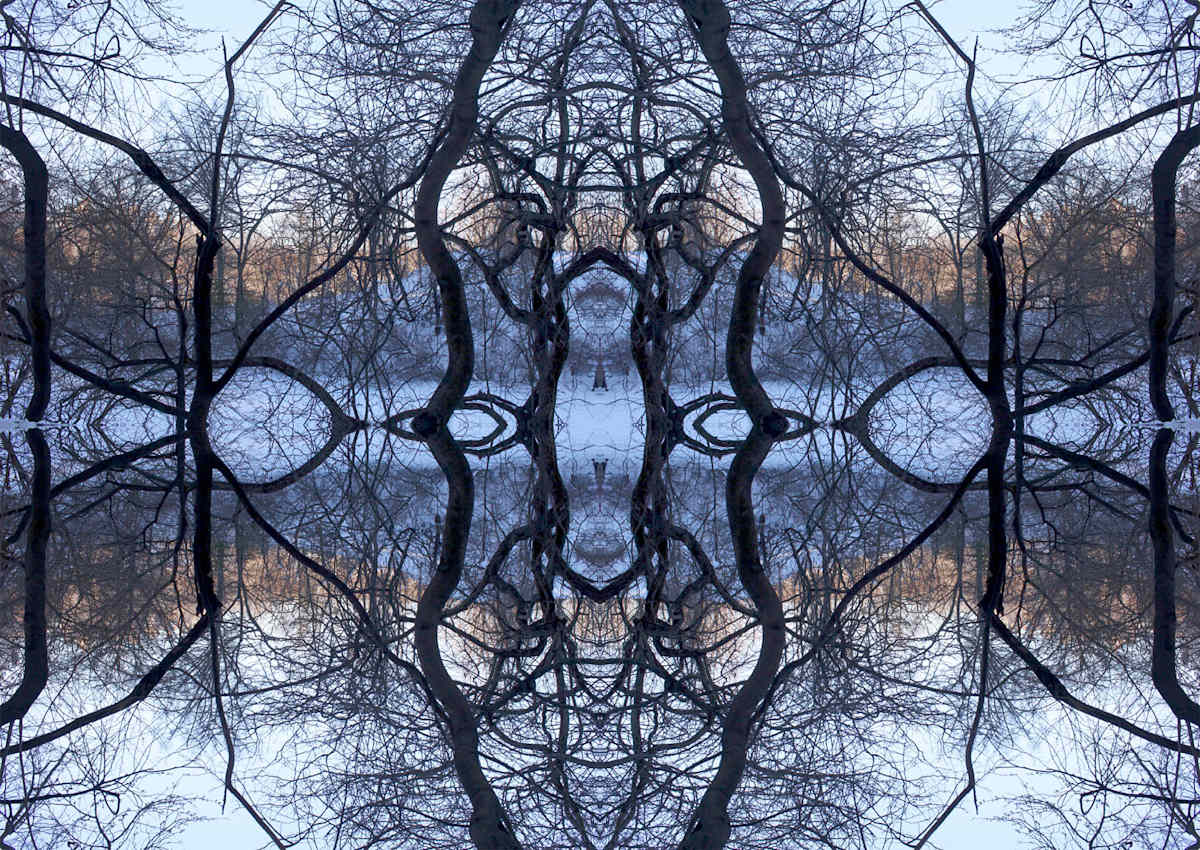 Organic Symmetry by Eric Oliver | Studio 109, Image 1.