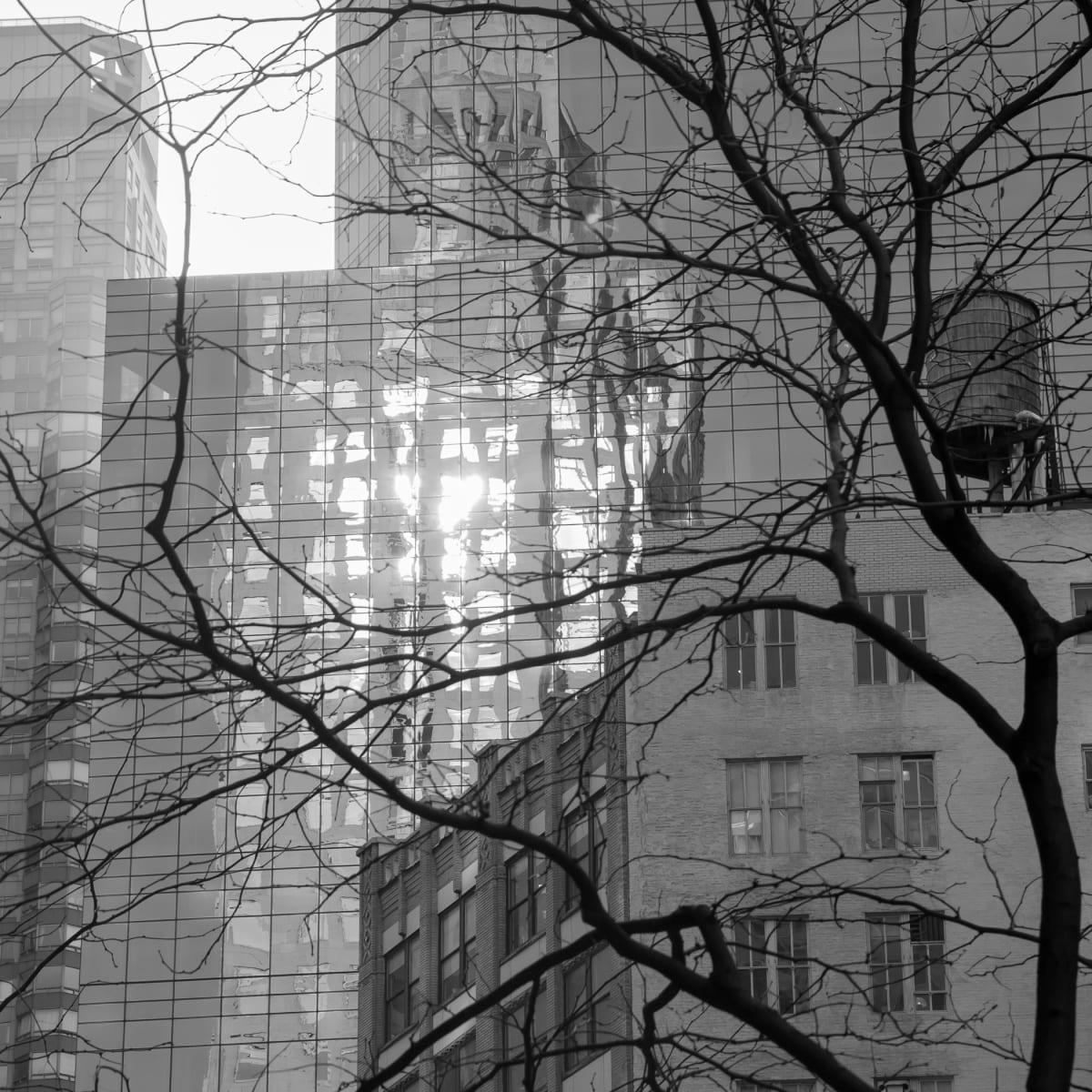 Winter Sun, Reflected by Eric Oliver | Studio 109, Image 3.