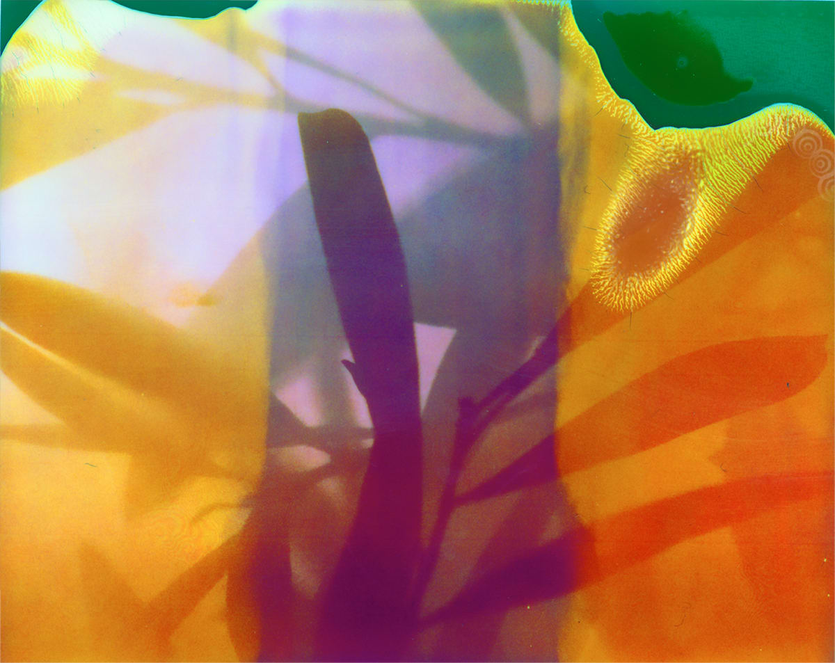 Insta Shadow 3 by Eric Oliver 