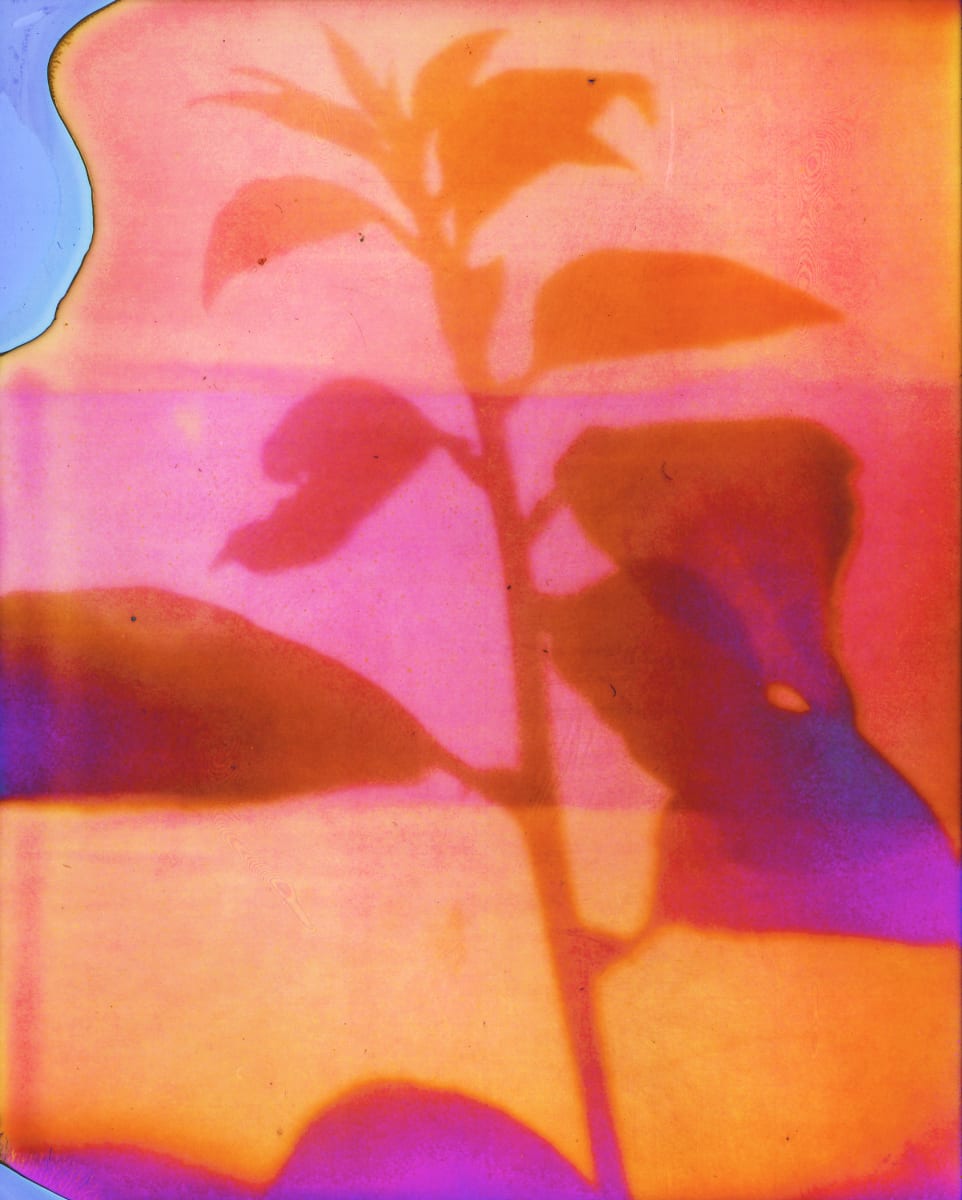 Insta Shadow 1 by Eric Oliver 