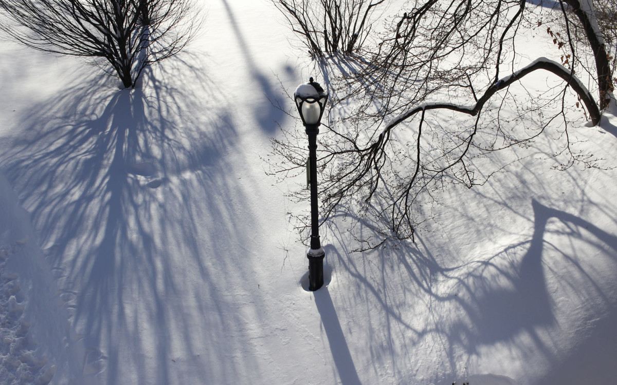 Lamp Post in the Snow by Eric Oliver 