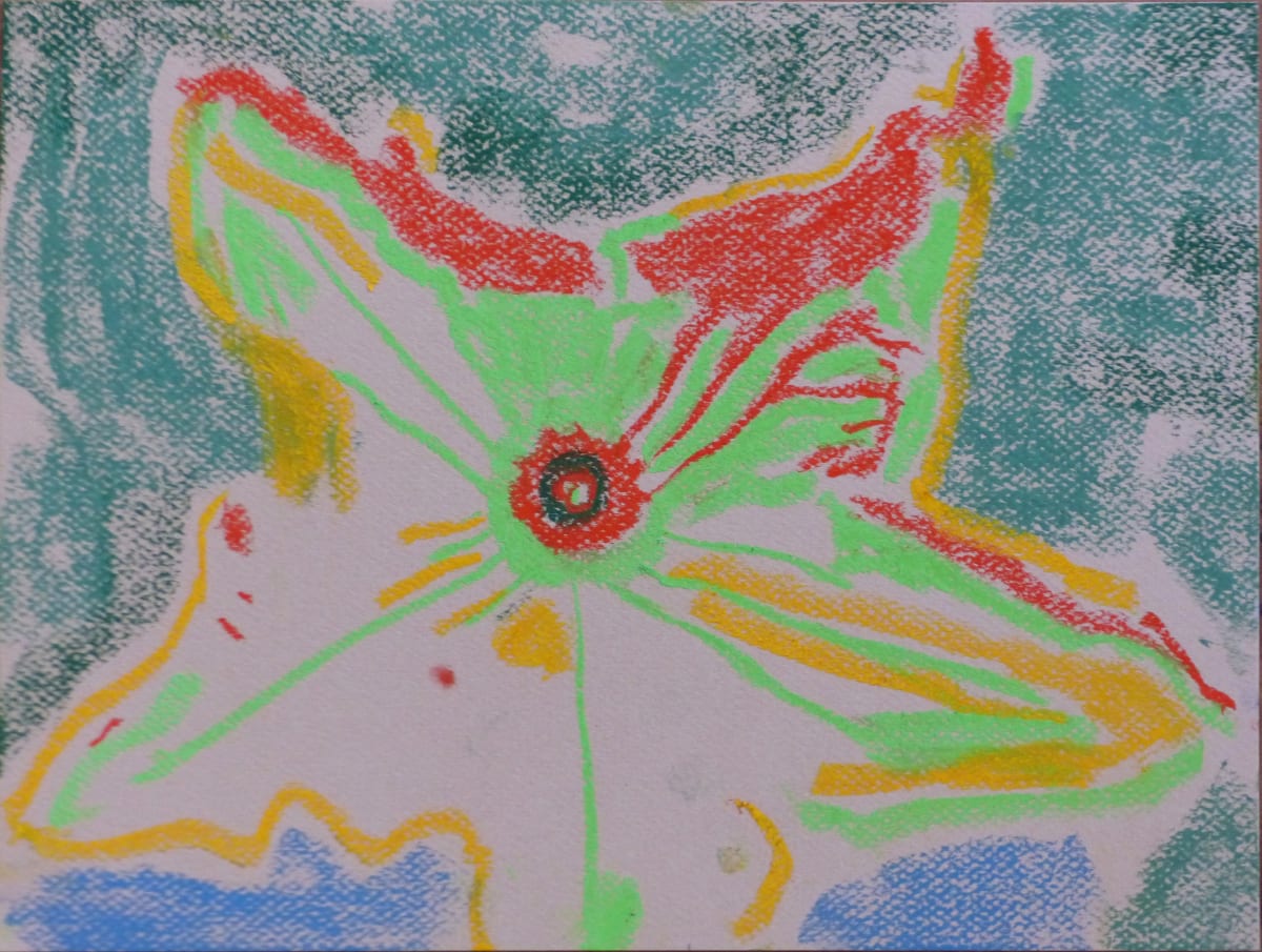 pumpkin flower by Natalya 