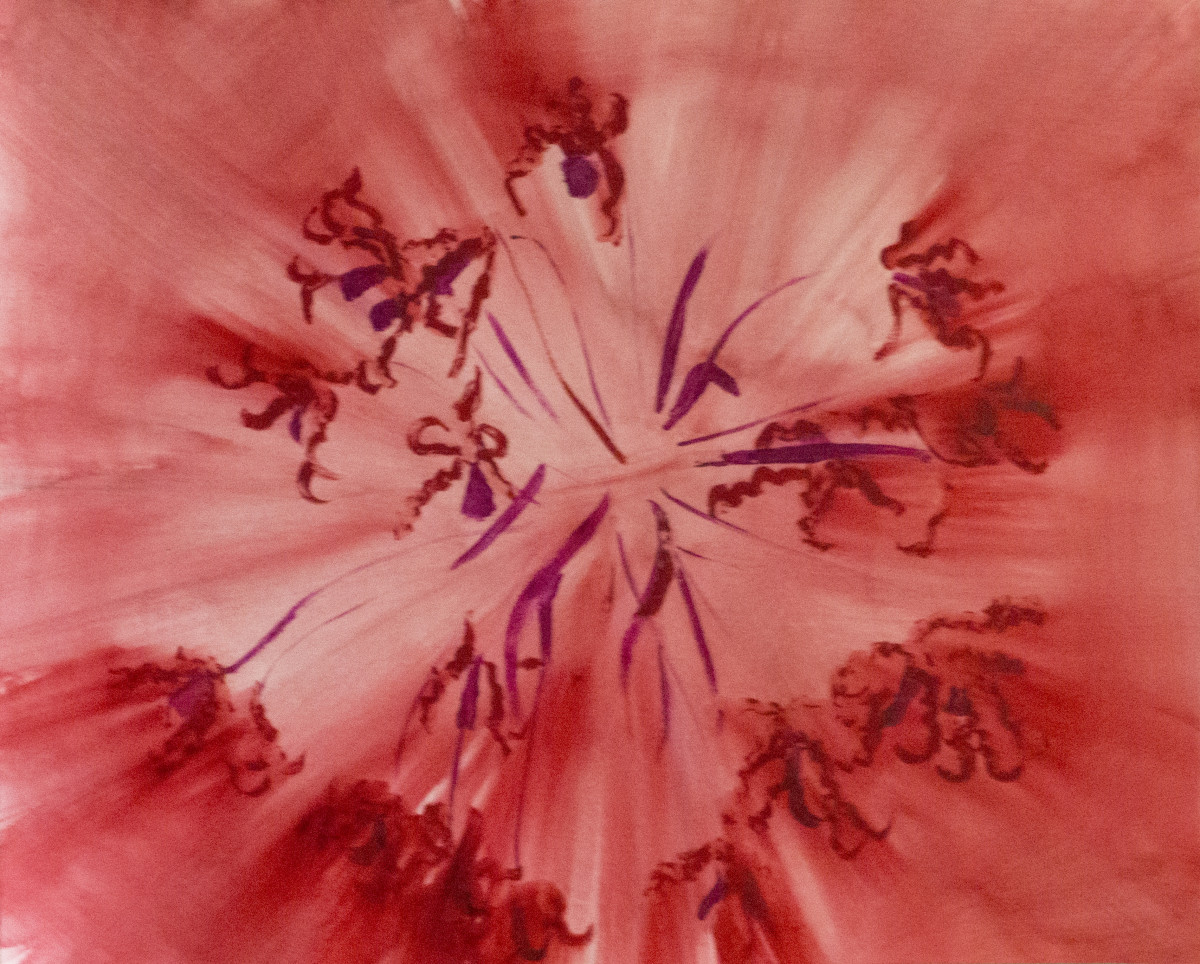 Red orchids by Natalya 