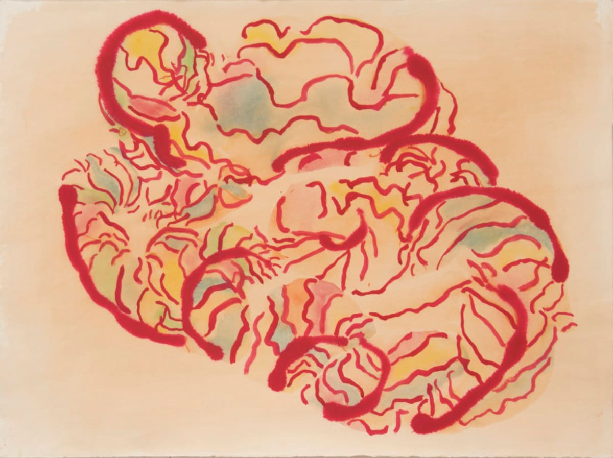 Yagrumo leaf, Image 1.