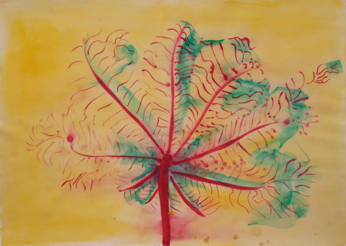 Yagrumo leaf 2, Image 1.