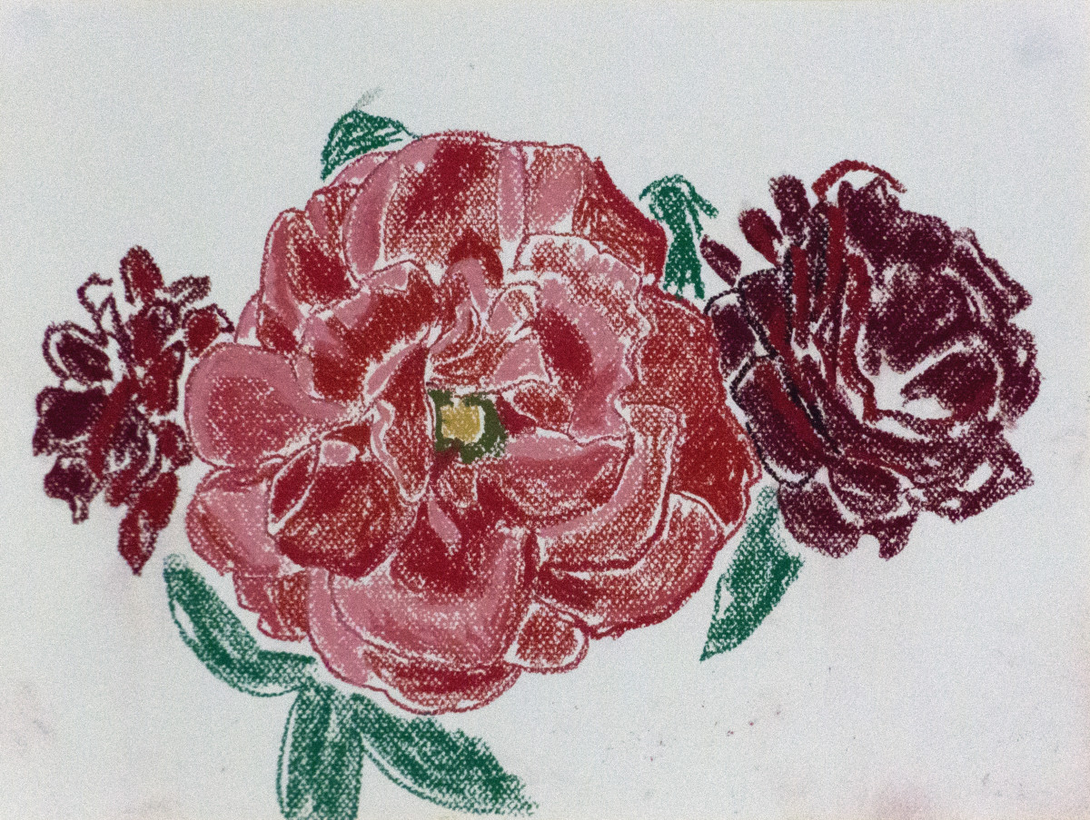 Red rose 8 by Natalya 