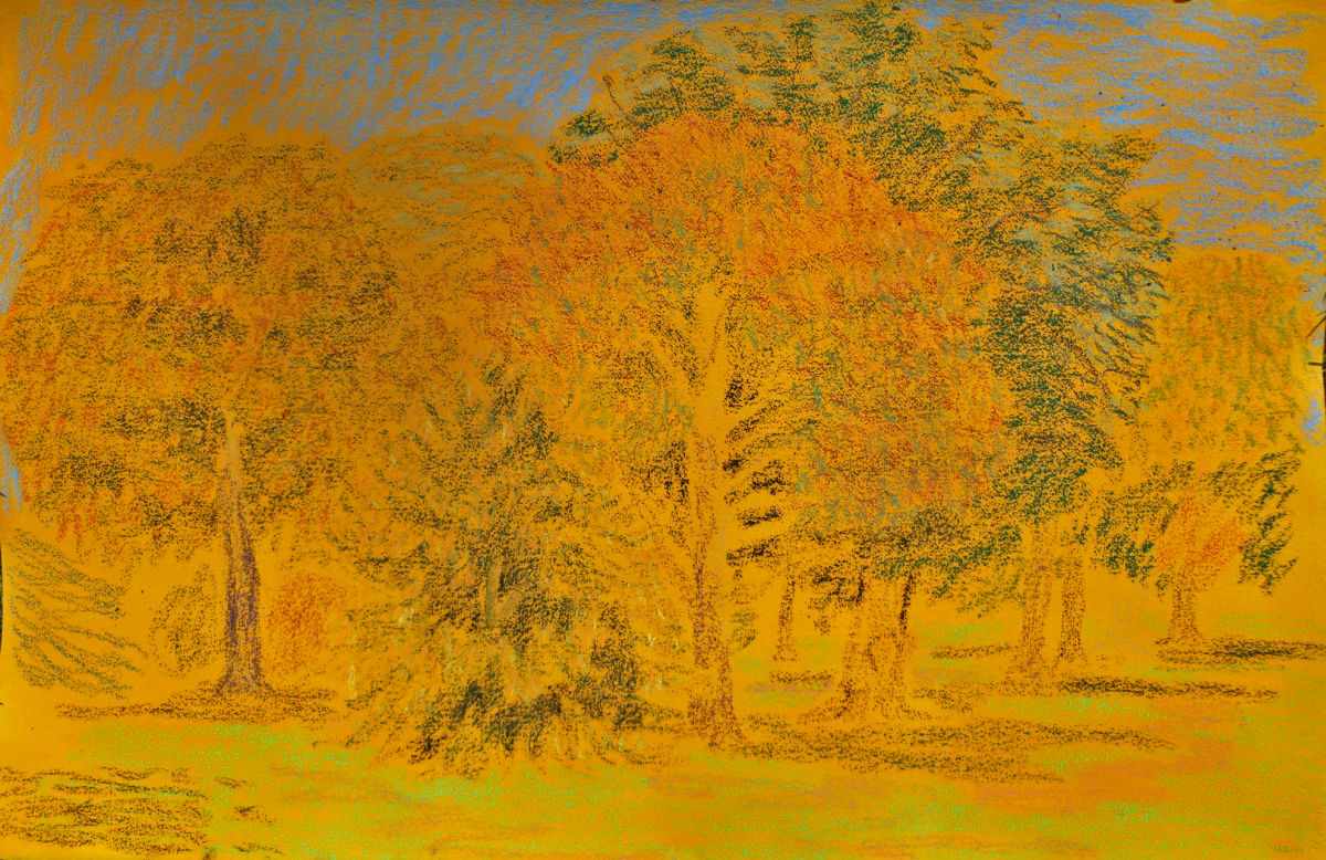 Trees at Kew 2 by Natalya, Image 1.