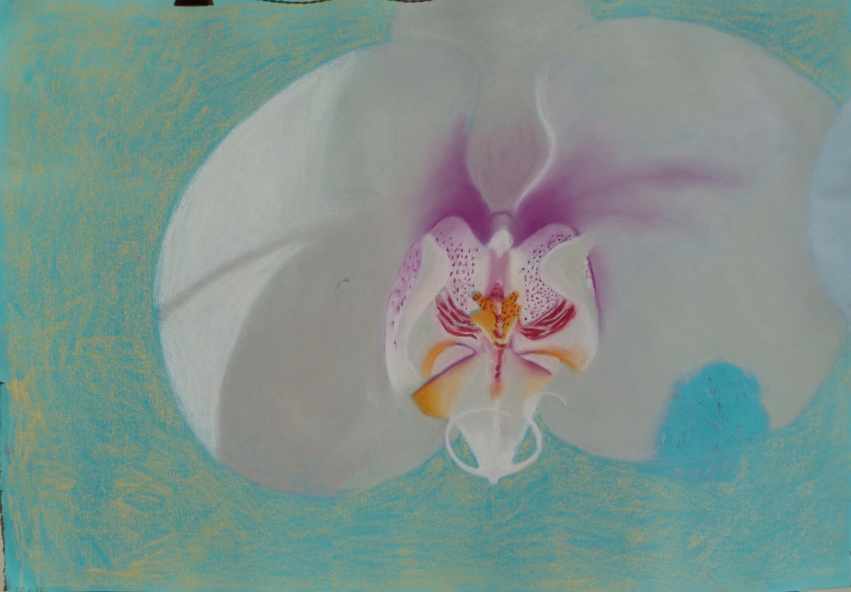 Orchid flower by Natalya 