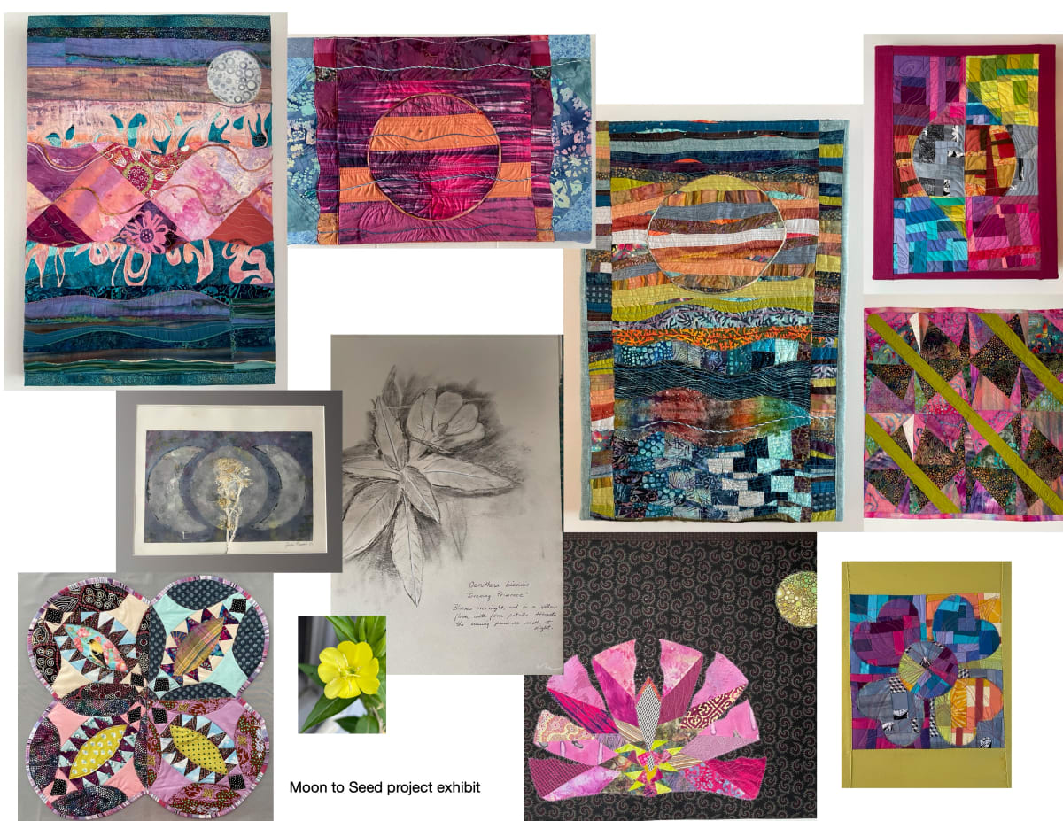 Moon/Seed Project 2024 by Julia Muench, Image 18.
