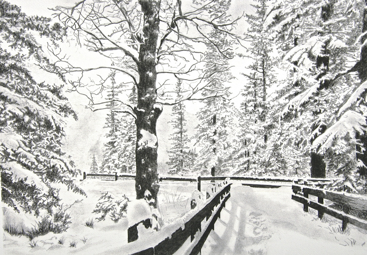 "Snowy Lane" © by John Drury 