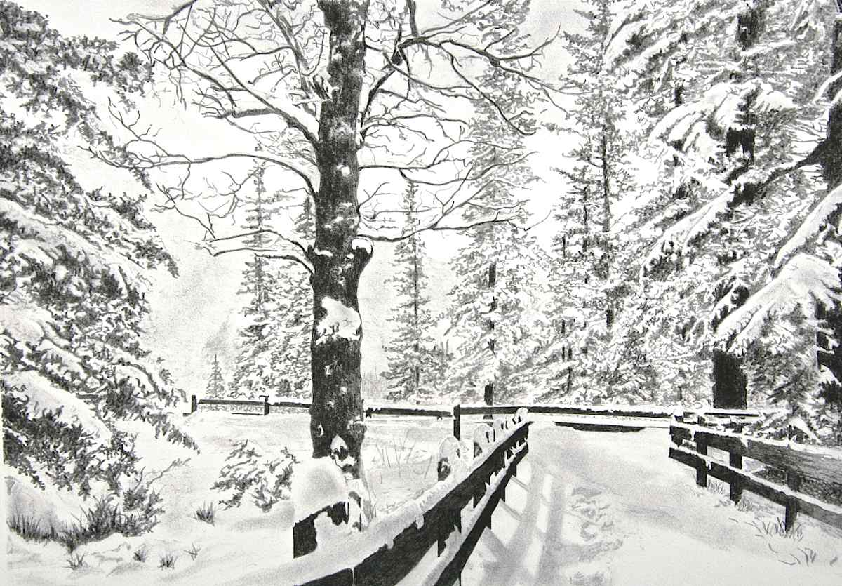 "Snowy Lane" © by John Drury, Image 1.