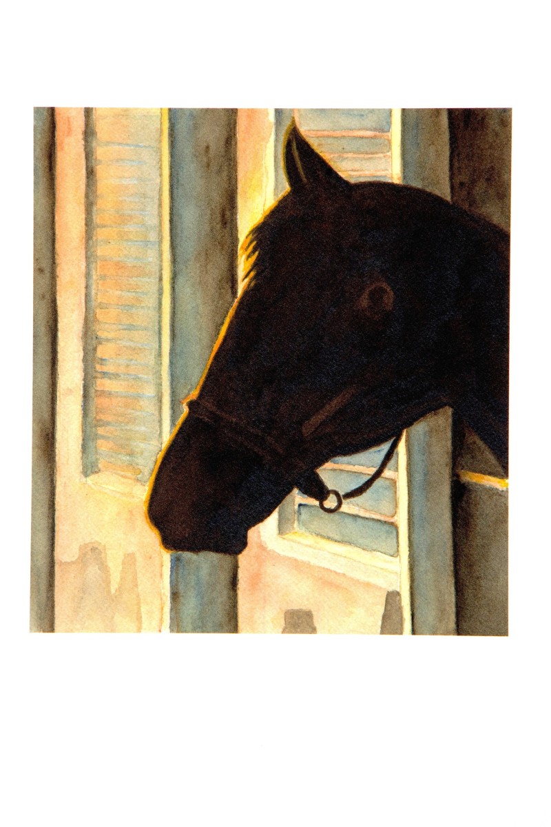 "The Sentinel" © by John Drury 