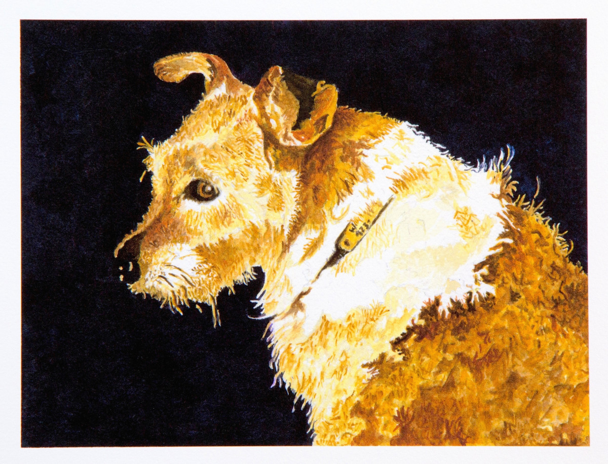 "Wilhelmina" © by John Drury 