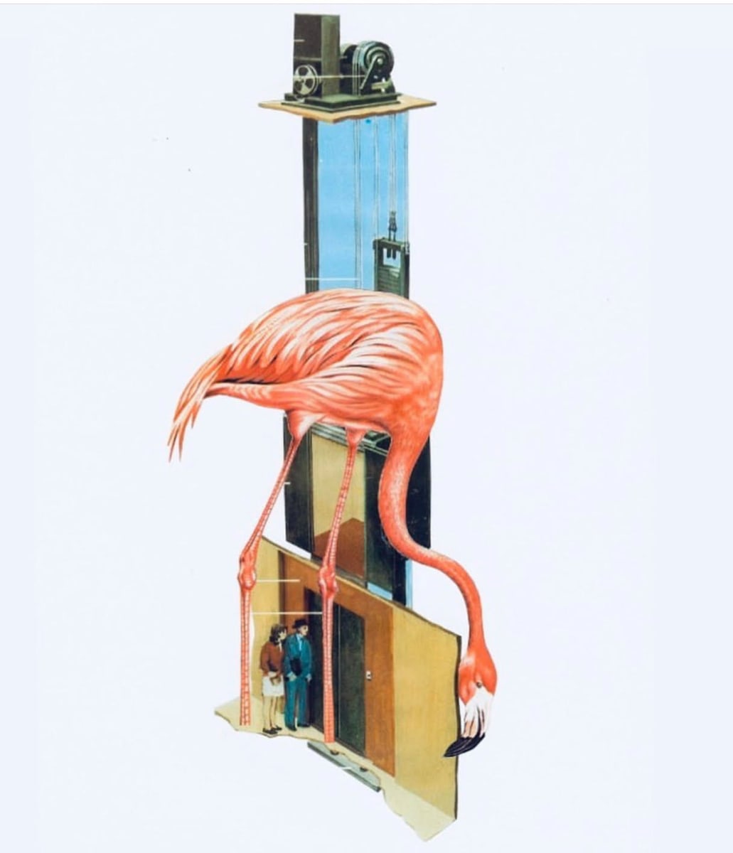 Pink Shaft by Jake Kennedy, Image 1.